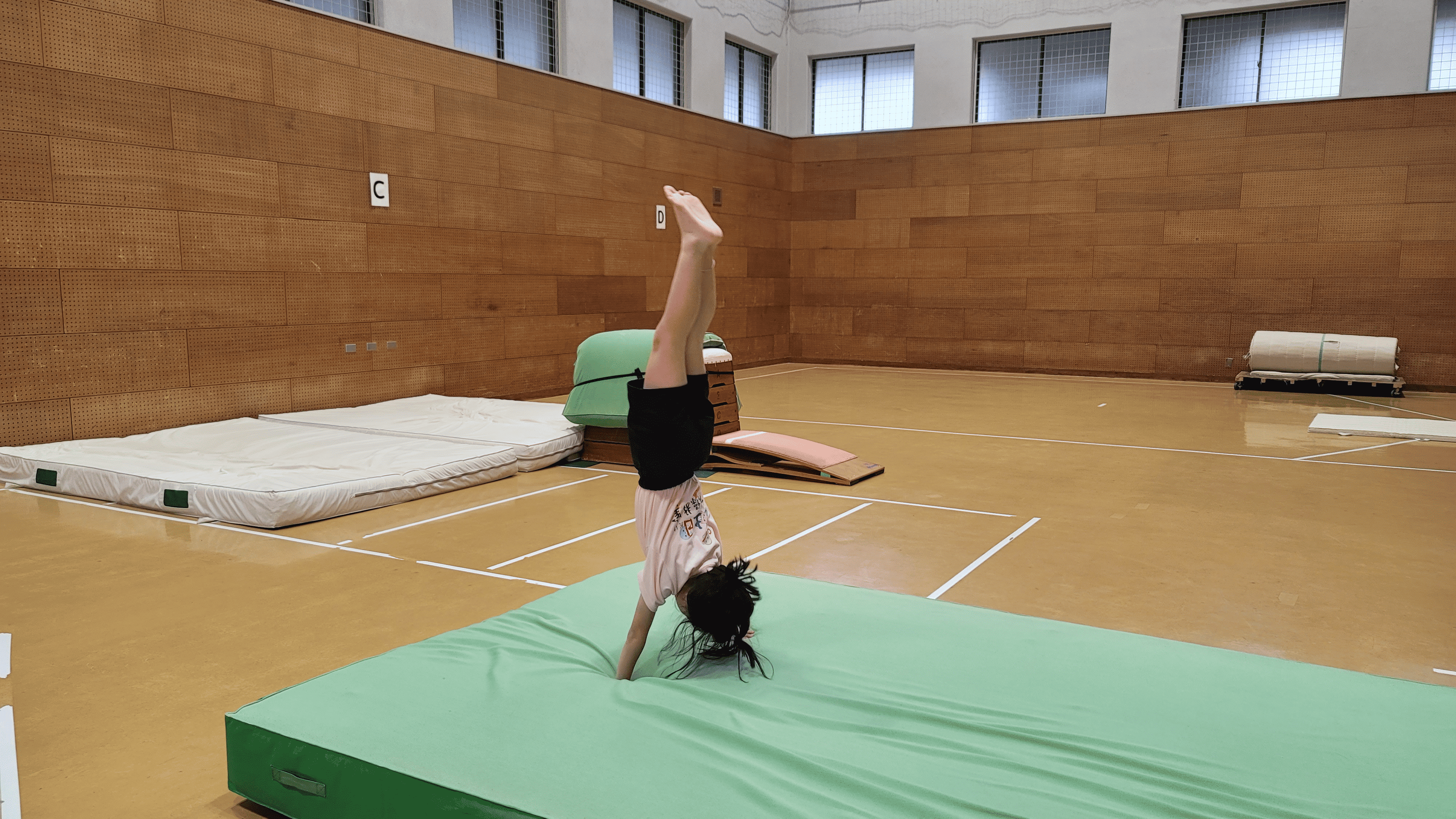 beginner1